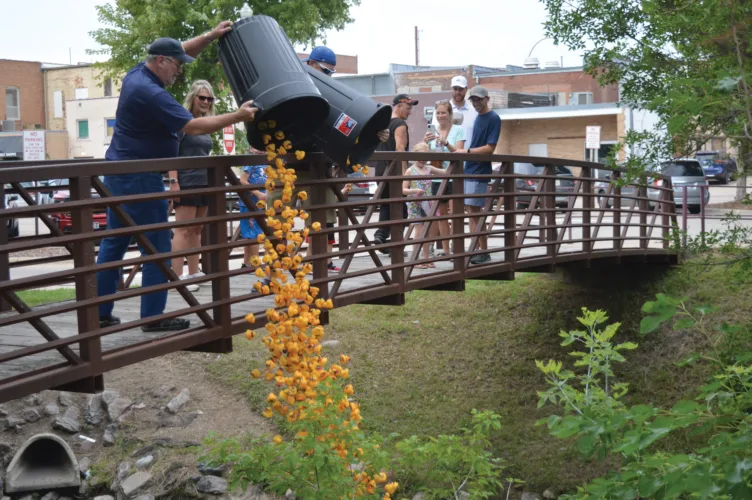 It’s a hoot’ to watch duck race